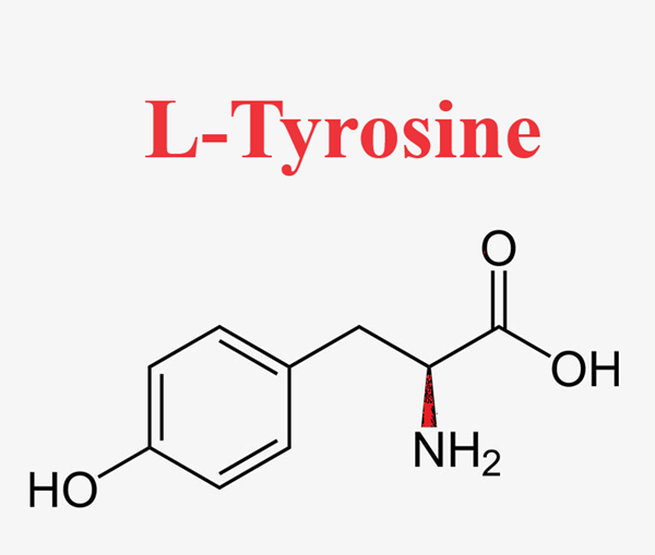 60-18-4 L-TyrosineFood SourcesEfficacy and EffectsDosageSide Effects