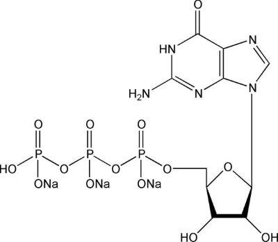 三磷酸鸟苷.jpg