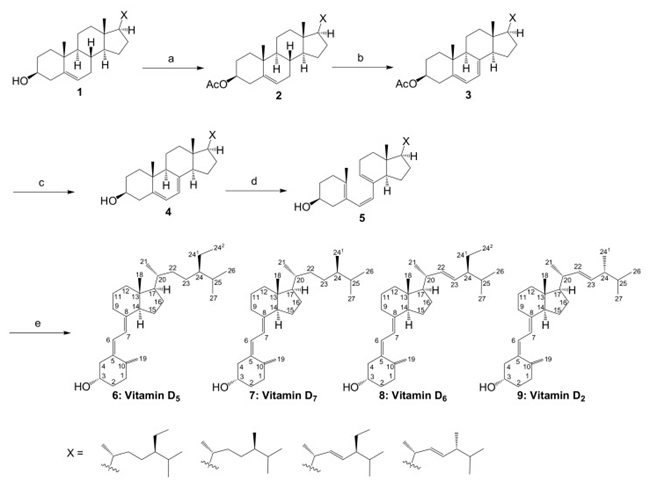 Vitamin D family synthesis