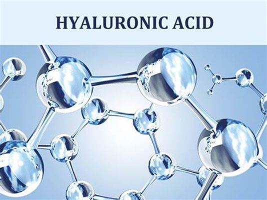 9004-61-9 Hyaluronic acidFunctionseffectsskin