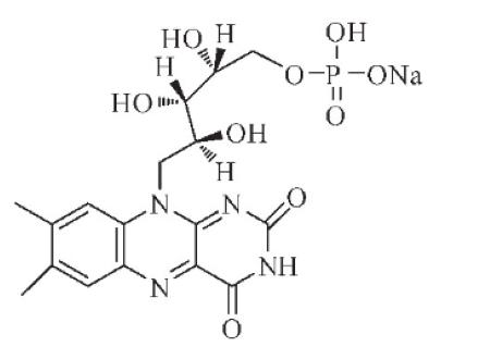 黄素单核苷酸.png