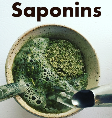 8047-15-2 saponintoxicIn plants