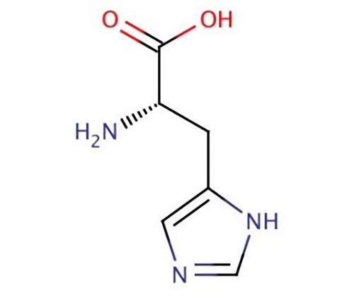 71-00-1 L-HistidineBiosynthesisBenefits