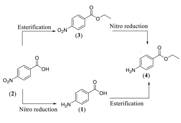 94-09-7 Benzocainesynthesizeethyl p-aminobenzoate