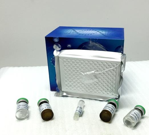 人心钠肽(ANP)ELISA试剂盒.png