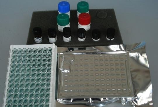 大鼠膜联蛋白Ⅴ(ANX-Ⅴ)ELISA试剂盒的应用