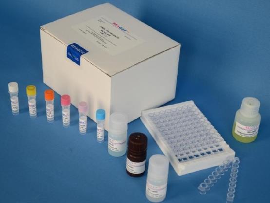 大鼠肿瘤坏死因子β(TNF-β)Elisa试剂盒的应用