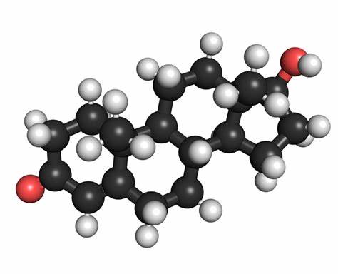 57-85-2 Androgen synthesisAndrogen