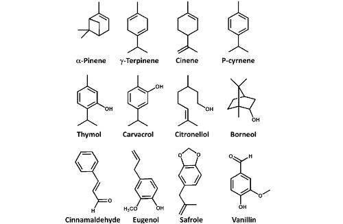 常见的香菜油成分化学结构式.png