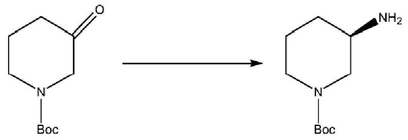 (R)-1-叔丁氧羰基-3-氨基哌啶的合成.png