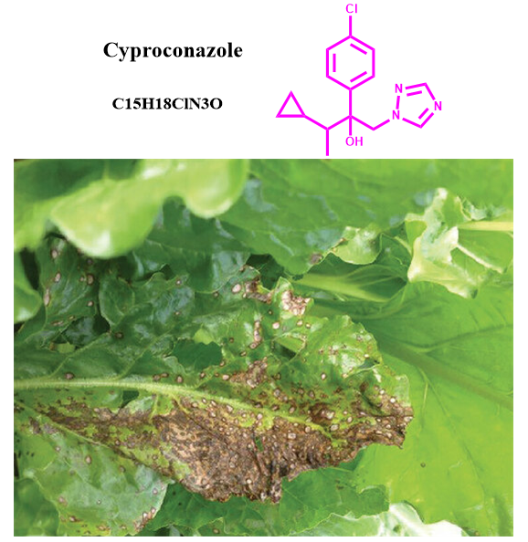 94361-06-5 Cyproconazolesystemic triazole fungicidePlant residues