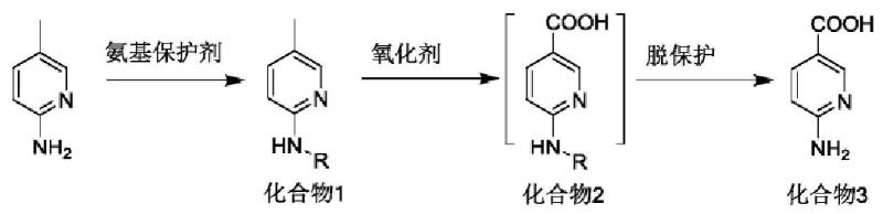 6-氨基烟酸的合成.png