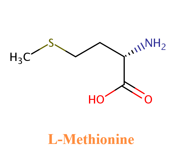 10016-20-3 α-CyclodextrinStructure of α-CyclodextrinApplications of α-Cyclodextrin