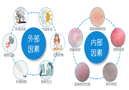 4-叔丁基环己醇：敏感肌肤的“福星”