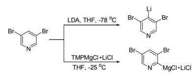 二氯化镁(2,2,6,6-四甲基哌啶)锂盐在 C—H 键镁化反应中的应用-2.jpg