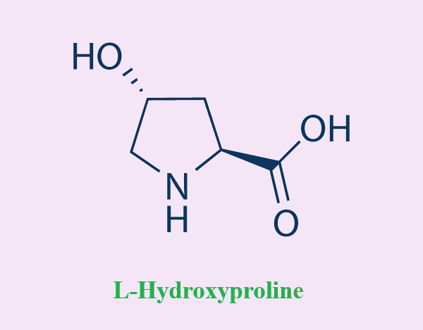 51-35-4 L-HydroxyprolineApplicationsSupplementsBenefits