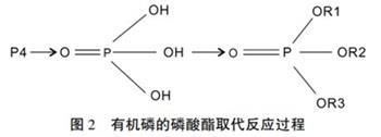 有机磷的磷酸酯取代反应过程.jpg