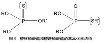 硫逐磷酸酯和硫赶磷酸酯的基本化学结构.jpg