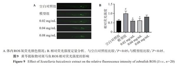 2',7'-二氯荧光素二乙酸酯的应用-2.jpg