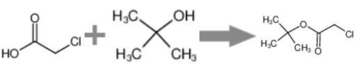 图1 氯乙酸叔丁酯的合成反应式.png