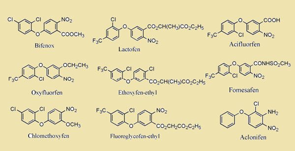 101-84-8 Diphenyl etherHerbicidesVarietiesMechanisms of ActionTargets