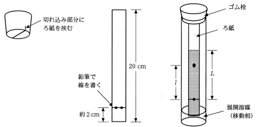 実験手順です