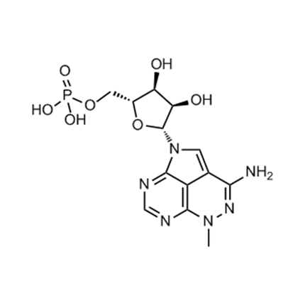 米酵菌酸易出现在哪些食物中？其毒素为何这么强？