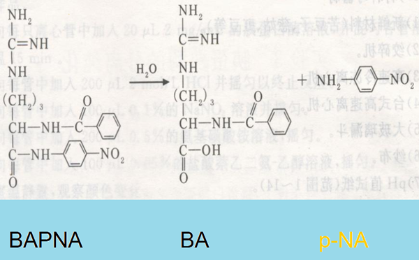 胰蛋白酶抑制剂的活性测定原理