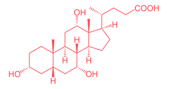 胆酸的作用与功效