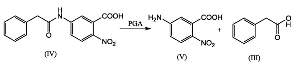 2-NITRO-5-(PHENYLACETYLAMINO)-BENZOIC ACID serve as a substrate