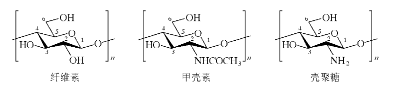 壳聚糖