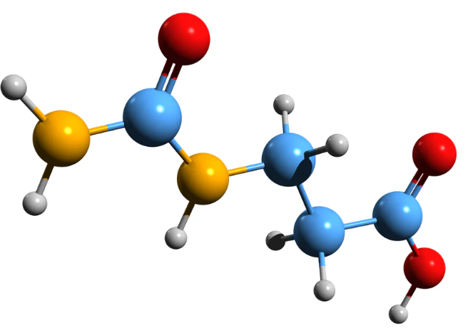 107-95-9 β-Alanine Physiological roles of β-Alanine Kinetics of β-Alanine Ingestion