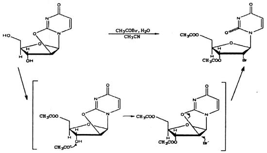 2,2'-脱水尿苷的酰化卤化反应.png