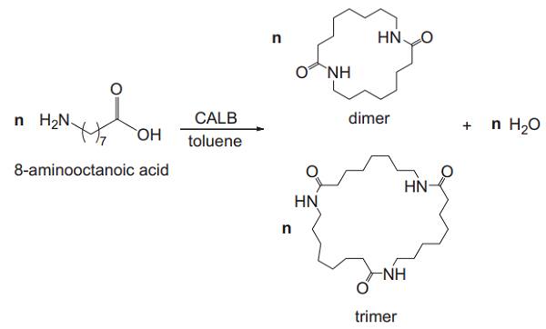 8-Aminooctanoic acid