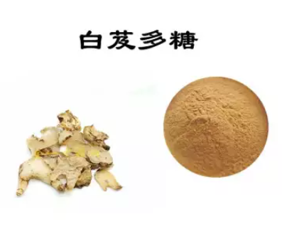 白芨多糖的功效作用与提取方法