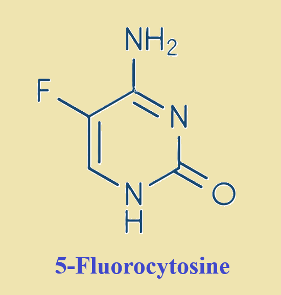 2022-85-7 5-Fluorocytosinecancer5-FC