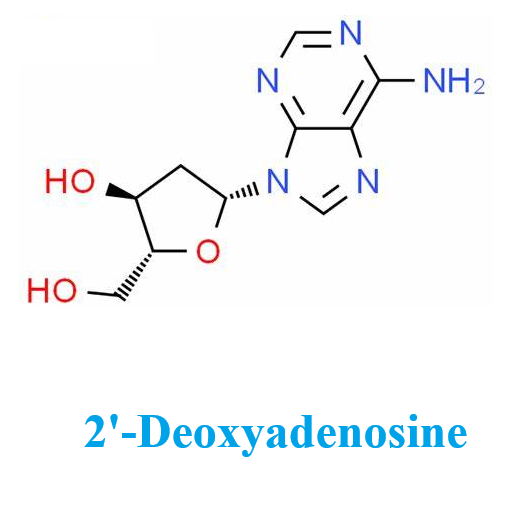 958-09-8 2'-DeoxyadenosineDeoxyadenosinelevelsdiseases