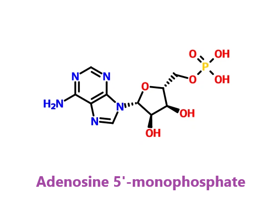 551-92-8 1,2-Dimethyl-5-nitroimidazole Applications of 1,2-Dimethyl-5-nitroimidazole in Veterinary Medicine Electrochemical Detection of 1,2-Dimethyl-5-nitroimidazole