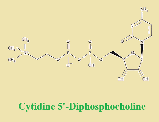 Cytidine 5'-Diphosphocholine