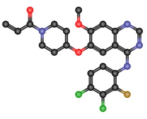 1092364-38-9 Pharmacokinetics of Poziotinib (HM781-36B)PoziotinibApplications of Poziotinib