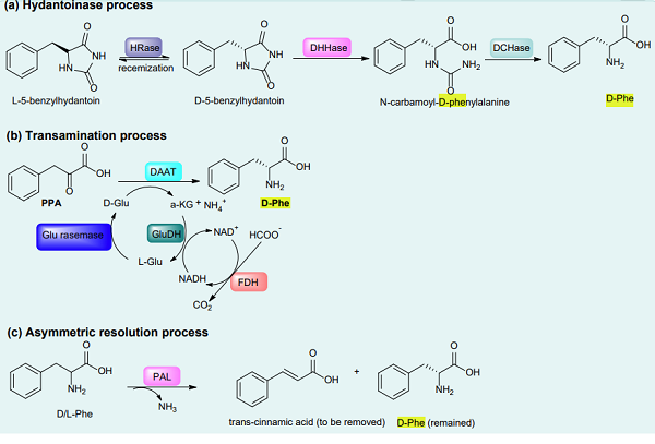 D-Phenylalanine