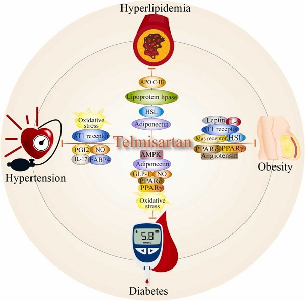 144701-48-4 TelmisartanHypertensionPharmacokinetics