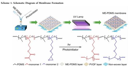 PDMS 自由基、阳离子杂化光聚合策略.jpg