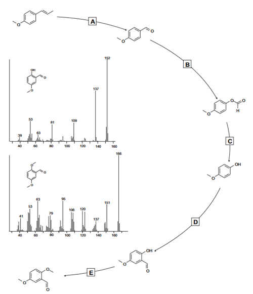 2,5-Dimethoxybenzaldehyde synthetic steps