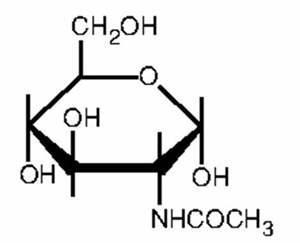 structure of N-ACETYL-ALPHA-D-GLUCOSAMINE