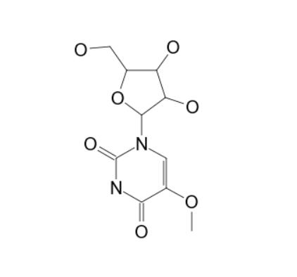 35542-01-9 5-MethoxyuridineUses of 5-MethoxyuridineChemical synthesis of 5-Methoxyuridine