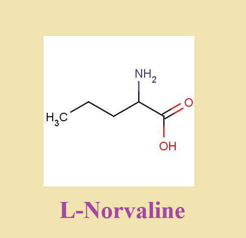 6600-40-4 L-Norvalinedosageadult