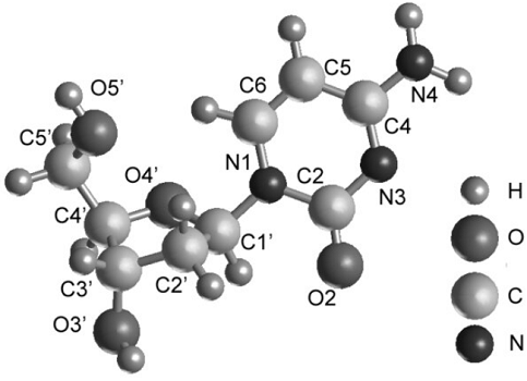 2'-Deoxycytidine