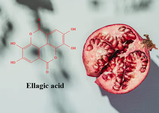 476-66-4 Ellagic acidSourceChemical propertyBioavailability