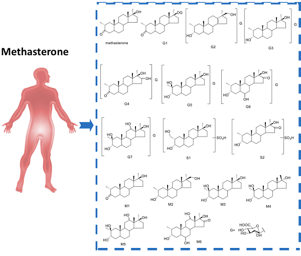 3381-88-2 MethasteroneFunctionsside effects